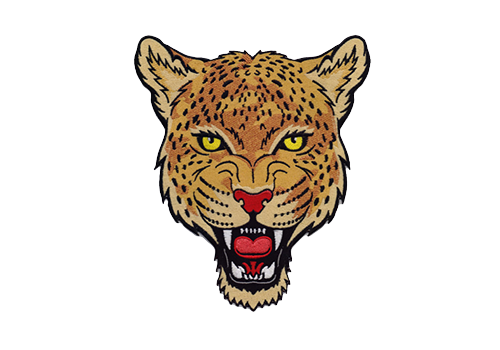 Custom Embroidered Patch 2